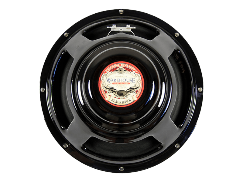 WGS Black Hawk 12" / 50 W / 16 Ohm