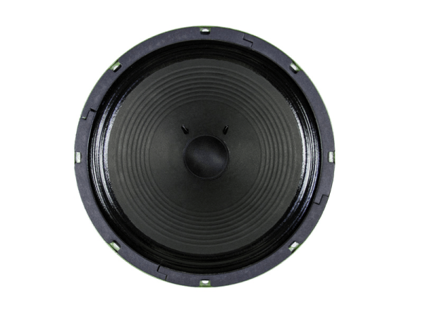 WGS Invader 12" / 50 W / 16 Ohm