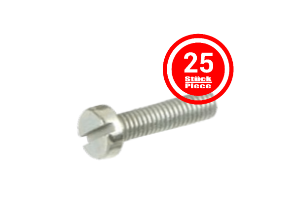 Pan Head Screw M3 x 6 mm, DIN 84 / ISO 1207 - Pack of 25